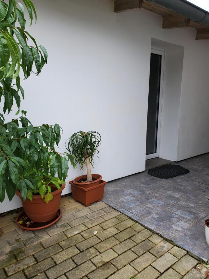 Apartman Stary Liskovec Apartment Brno Bagian luar foto